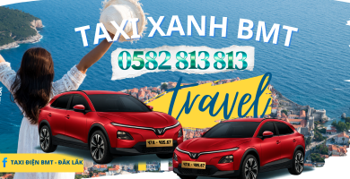 ĐA DẠNG LOẠI XE TỪ XE ĐIỆN ĐẾN XE XĂNG (4-16 CHỖ)